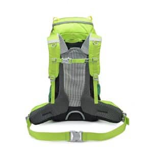کوله-پشتی-کوهنوردی-50-لیتری-دیوتر-مدل-8133-سبز-پشت